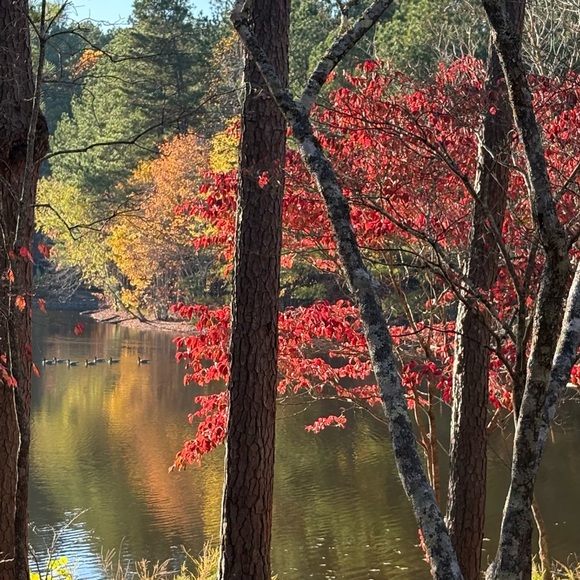 Other - 🦋☀️Like For Live Posh Show Notifications🩷🌻